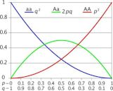 Hardy–Weinberg principle