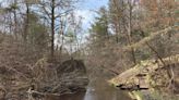 Memorial Day weekend hikes on Cape Cod: 5 trails we recommend