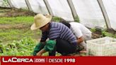 El paro cae en 46.783 personas en junio y baja de los 2,6 millones, mínimos desde 2008