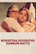 Nokketha Doorathu Kannum Nattu