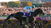 Equinox, Romantic Warrior star on racing scene as Breeders' Cup finalizes fields