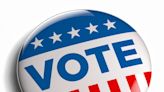 Vote for my candidate: Mannion, Klee Hood in NY-22 (Your Letters)