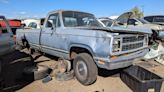 Junkyard Gem: 1980 Dodge Ram Custom 150 Pickup