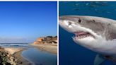 Hombre es mordido por un tiburón en la playa de Del Mar en San Diego