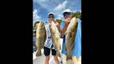 Gag grouper season is short, but the bite in Tampa Bay is strong, Palmetto captain says