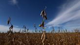 Argentina’s farming heartland braces for cold, dry snap