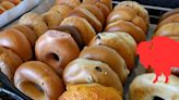 The 5 Best Bagels Spots in Buffalo, New York