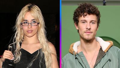 Camila Cabello and Shawn Mendes Spotted Together 1 Year After Breakup