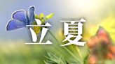 24節氣立夏：習俗、禁忌、諺語、天氣、養生重點一次看