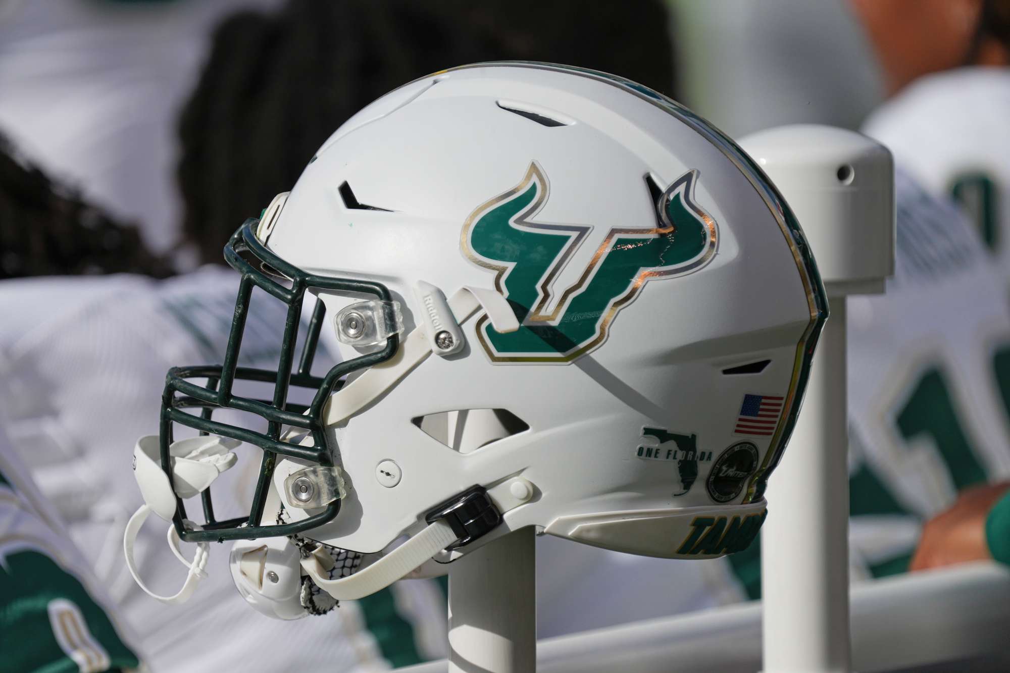 Former University of South Florida Football Player Teigan Martin Dies at 20 in Car Crash