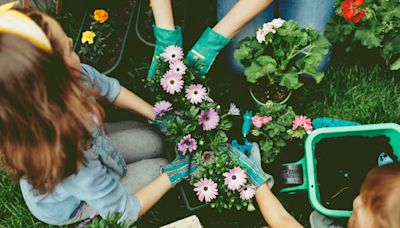 10 fleurs à planter en août pour un beau jardin à la rentrée