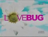 Love Bug (Philippine TV program)