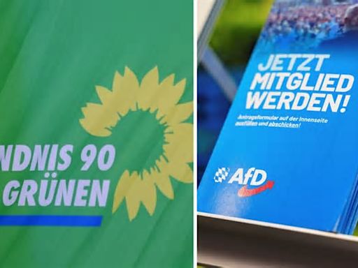 Wenn Grünen-Politiker im Saarland zur AfD wechseln