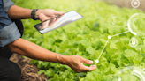 Agricultura 4.0: escalabilidad sustentable en entornos digitalizados