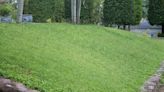 Gardener scrambles to keep hillside yard from washing away: ‘This rain will likely rip down the slopes’