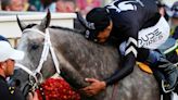 Preakness winner Seize the Grey is likely running in the 1st Belmont at Saratoga