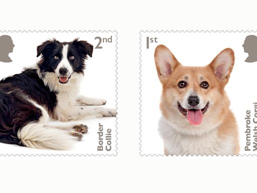 Royal Mail releases new stamp collection featuring the UK's favourite dog breeds