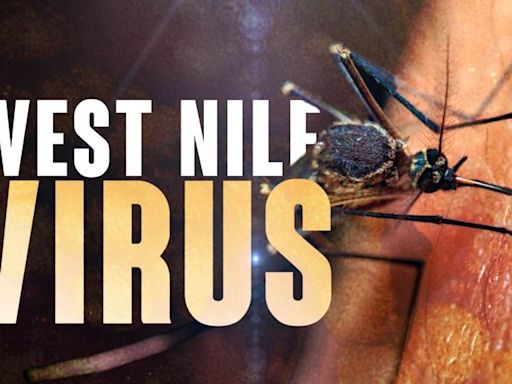 Hidalgo County health officials investigate four new potential West Nile Virus cases