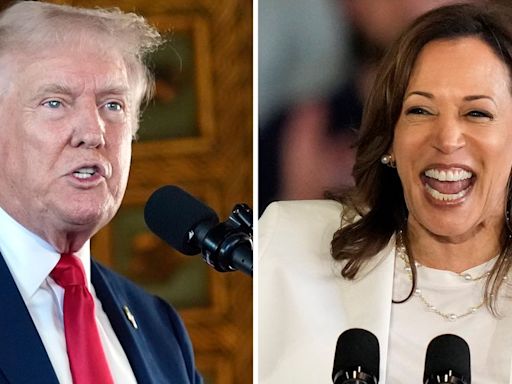 Trump Backtracks When Reporter Confronts Him About Harris Rally AI Lie