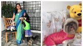 Malaysian woman overwhelmed by demand for Indian traditional outfits for pets ahead of Deepavali