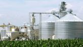U.S. year-round sales of an ethanol-gas blend wins oil group's support