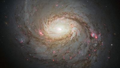 Universe had spiral galaxies 4 billion years sooner than expected: study