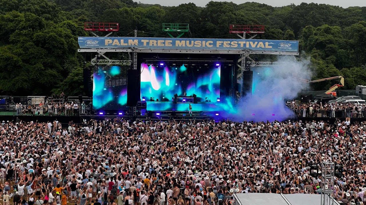 Swedish House Mafia, Kygo headline 2024 Palm Tree Music Festival in Southampton