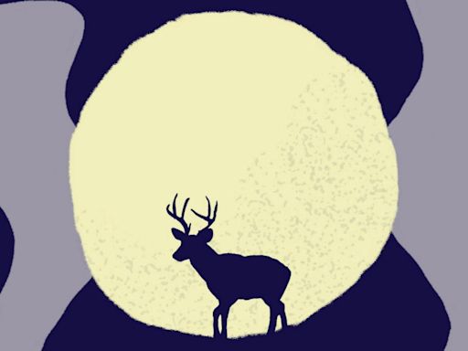 July full moon: What the buck moon means for your zodiac