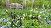 My Garden Was My Refuge. Then Climate Change Came for It.