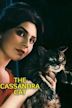 The Cassandra Cat