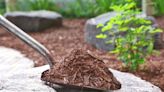 Rubber Mulch vs. Wood Mulch: Which Is Best for Your Landscape?