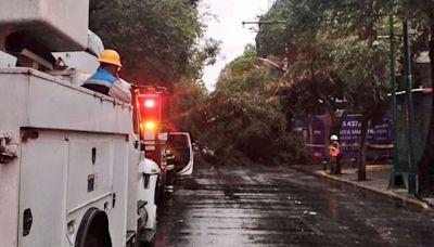 Fuertes lluvias en CDMX provocan encharcamientos y caída de árboles