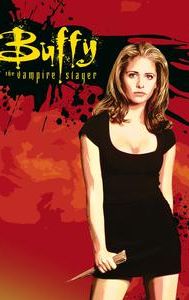 Buffy the Vampire Slayer