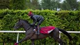 O'Brien Confident of Big Show From Auguste Rodin