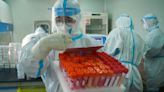 Congress questions US funding for 'potentially dangerous' Chinese bird flu research