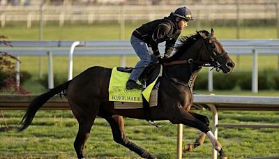 Honor Marie, owned by Texarkana family, preps for this weekend's Kentucky Derby | Texarkana Gazette