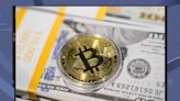 Cryptocurrency Market News: Bitcoin Halving Steadies Price, Network Transaction Fees Spike