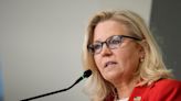 Liz Cheney warns against electing Arizona GOP candidates Kari Lake and Mark Finchem, who have denied the 2020 results