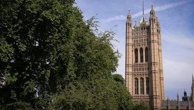 Green Party co-leaders among MPs sworn in as affirmations continue