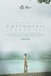 Cottontail (film)