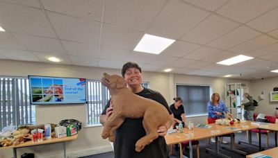 Dog walkers launch first pet first aid classes in Southampton