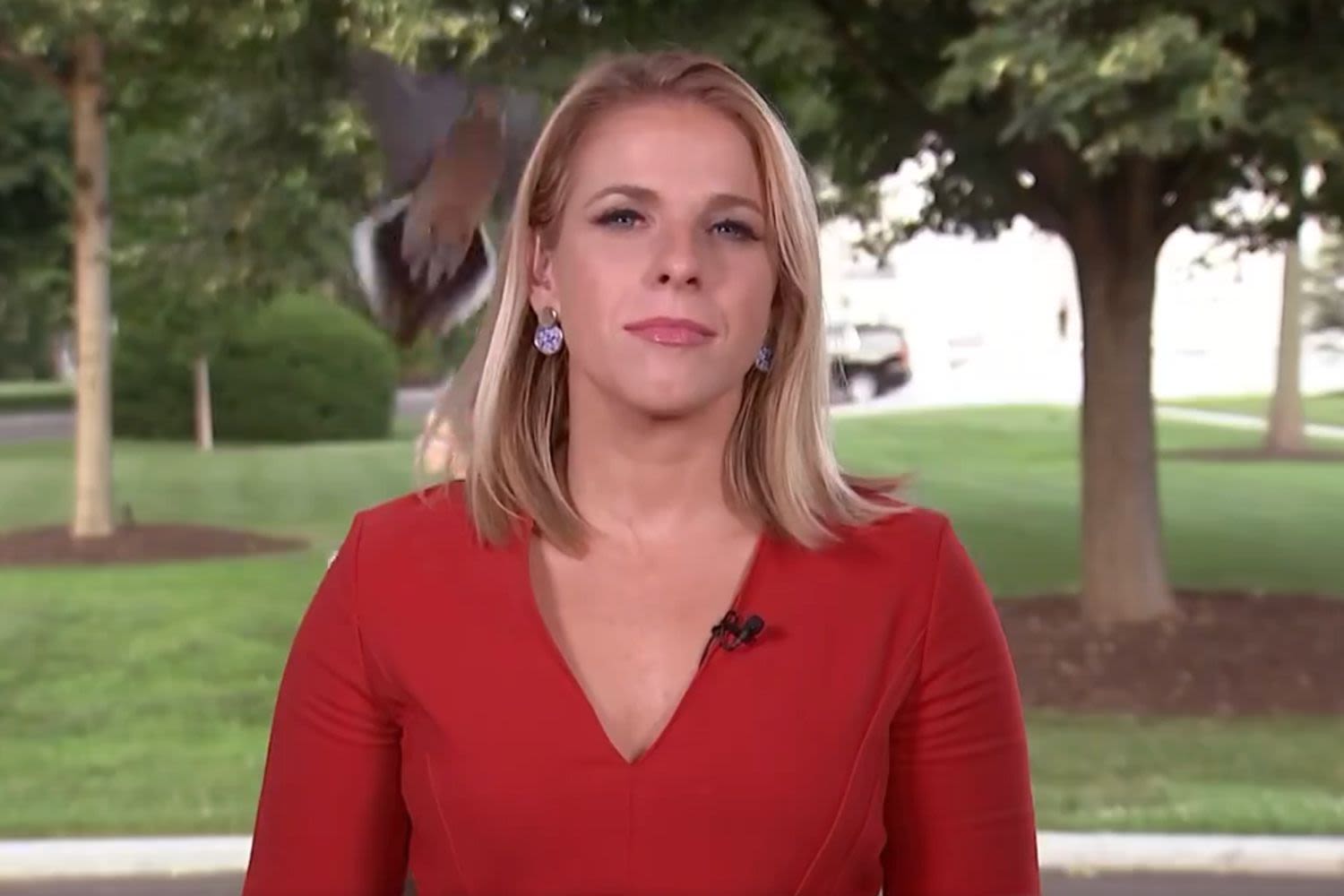 Bird Lands on Head of White House Reporter Moments Before Live Broadcast: Watch