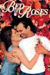 Bed of Roses (1996 film)