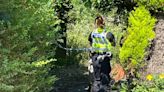 Police issue arrest update after teenage girl raped in woodland