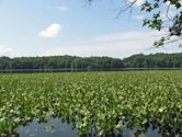 Leesylvania State Park