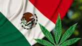 Is Recreational Marijuana Legal in Mexico? What Travelers Need to Know About Mexico's Weed Laws