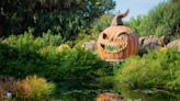 Fall fun: Crop mazes, haunted houses and other autumn-themed things to do in Jacksonville