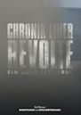 Chronik einer Revolte - ein Jahr Istanbul