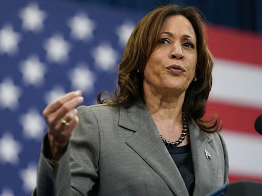 Agente del Servicio Secreto asignado a Kamala Harris denota extraño comportamiento y es hospitalizado - La Opinión