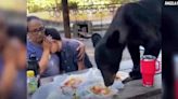 WATCH: Mexican mother bravely shields son as bear leaps on picnic table to devour his birthday enchiladas